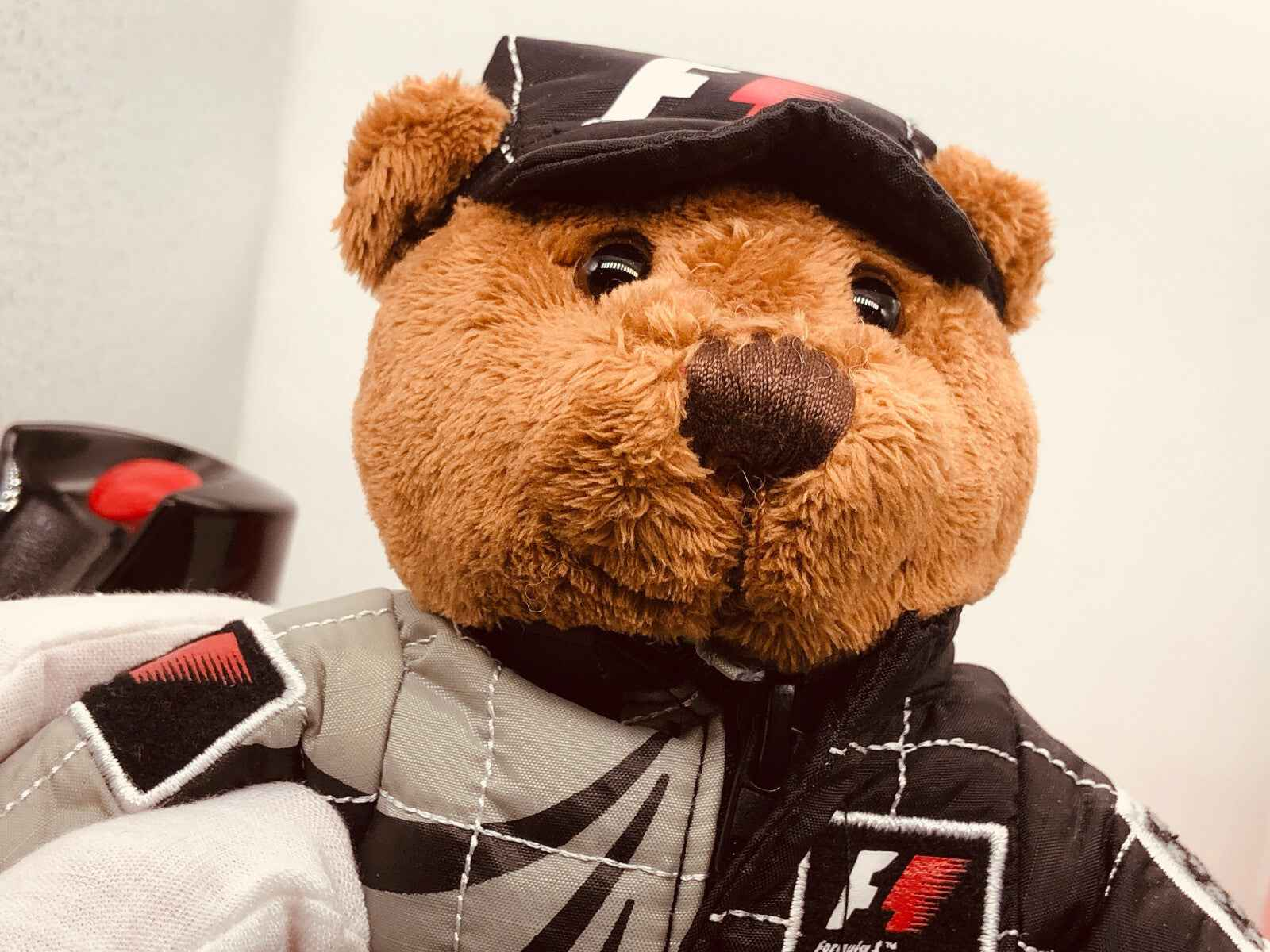 Orsetto in tuta da corsa con logo F1 Formula 1, perfetto per gli appassionati di automobilismo