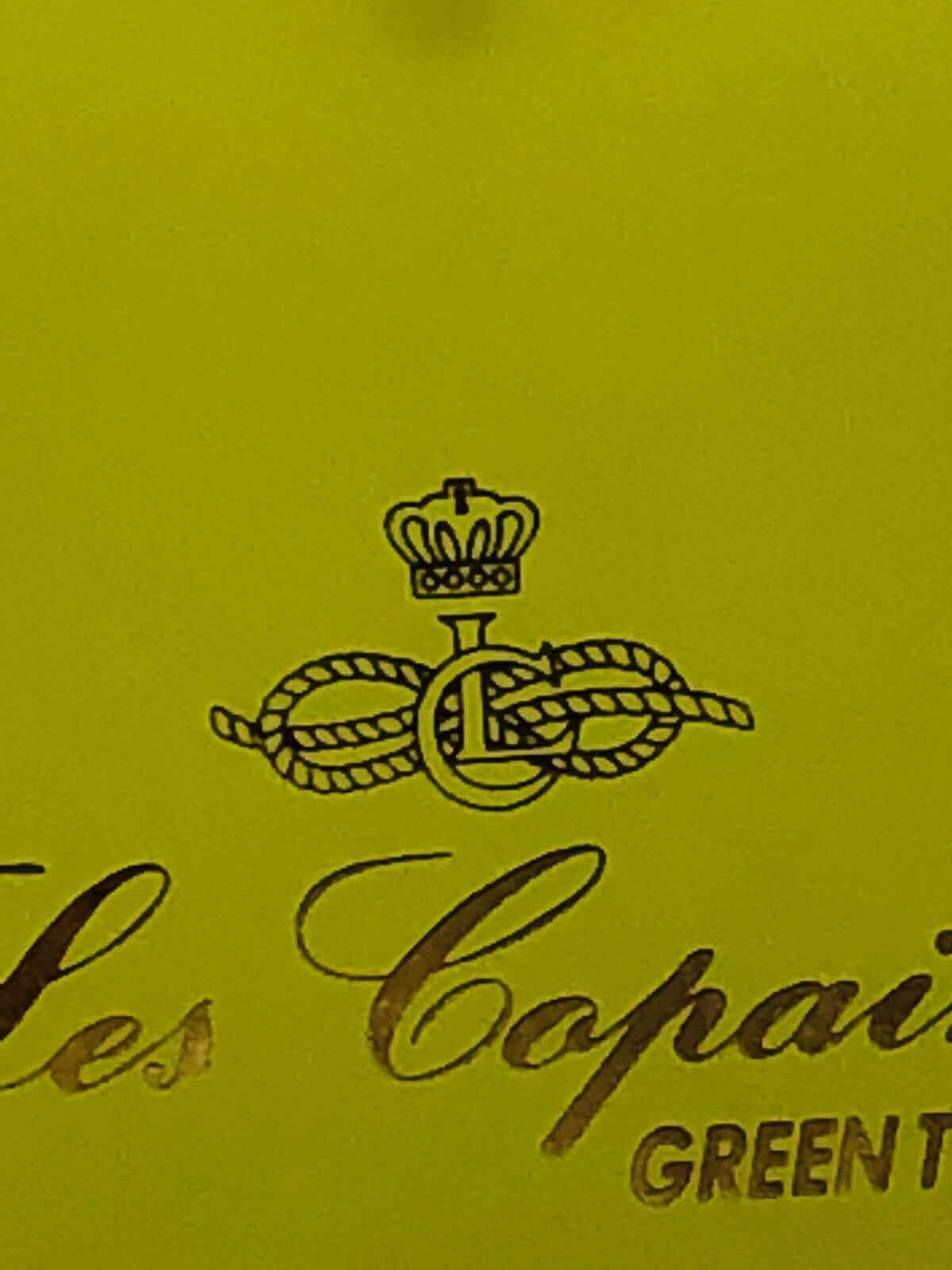 Flacone di profumo Les Copains Green Twist con logo elegante e design distintivo