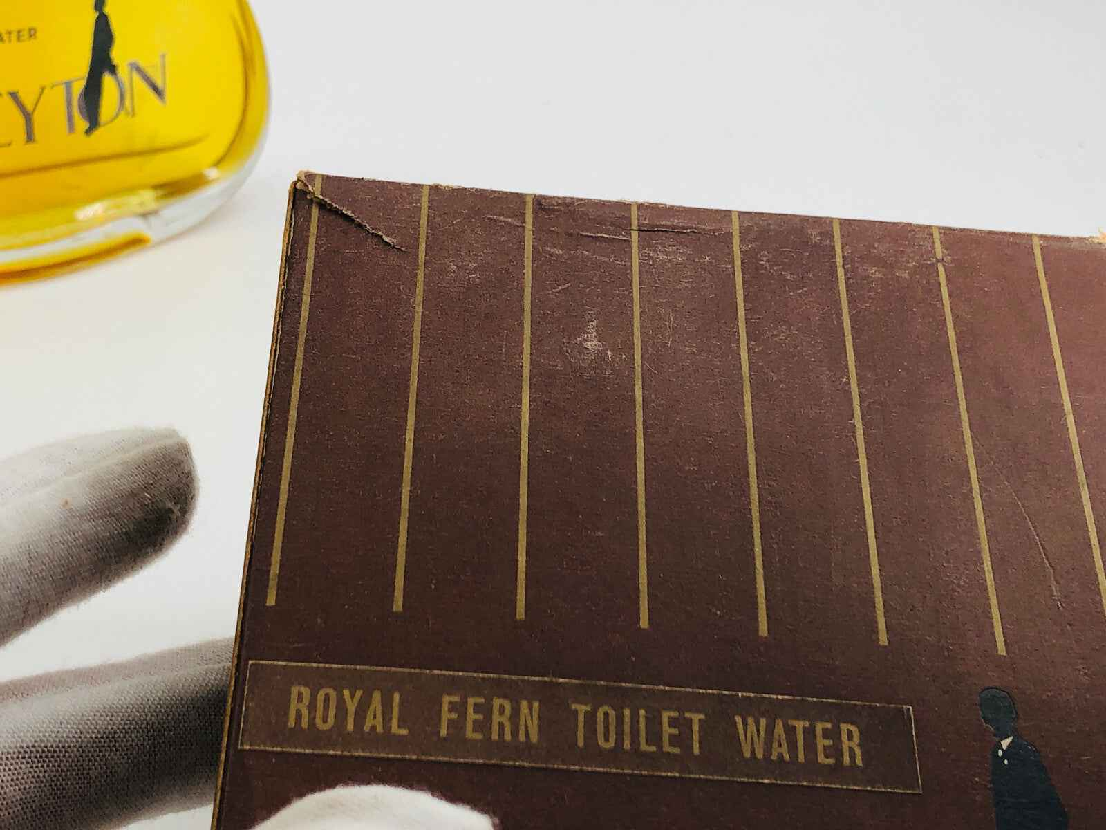 Scatola del profumo Royal Fern di Vic Seyton con design elegante e dettagli dorati